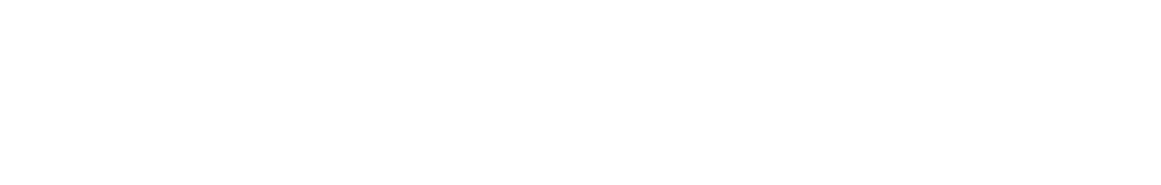 Porsche Digital